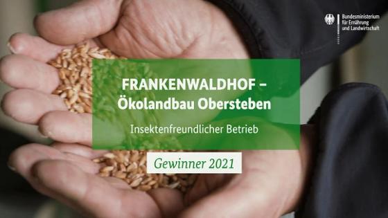 Startbild des Preisträgerfilms zum Frankenwaldhof