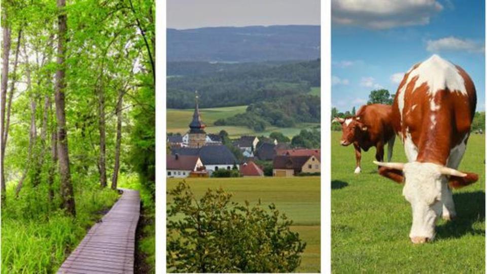 Bildcollage aus Fotos von einem Dorf, von Kühen auf der Weide und von einem Wald 